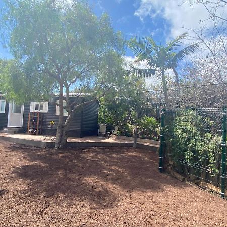 Casita Entre Vinedos, Experiencia Rural, Ideal Ninos. 特格斯特 外观 照片
