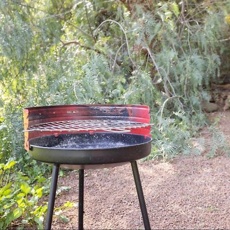 Casita Entre Vinedos, Experiencia Rural, Ideal Ninos. 特格斯特 外观 照片