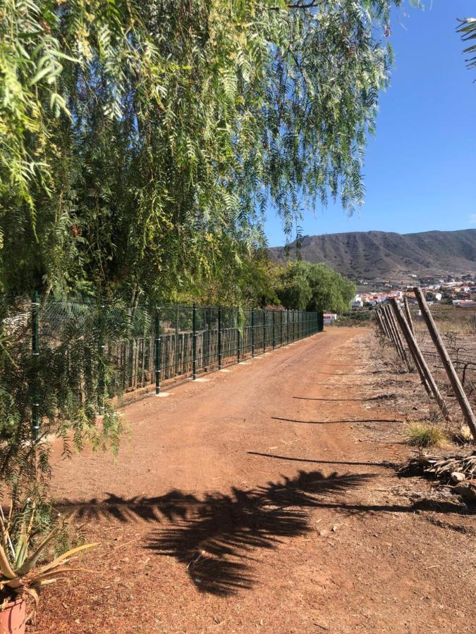 Casita Entre Vinedos, Experiencia Rural, Ideal Ninos. 特格斯特 外观 照片