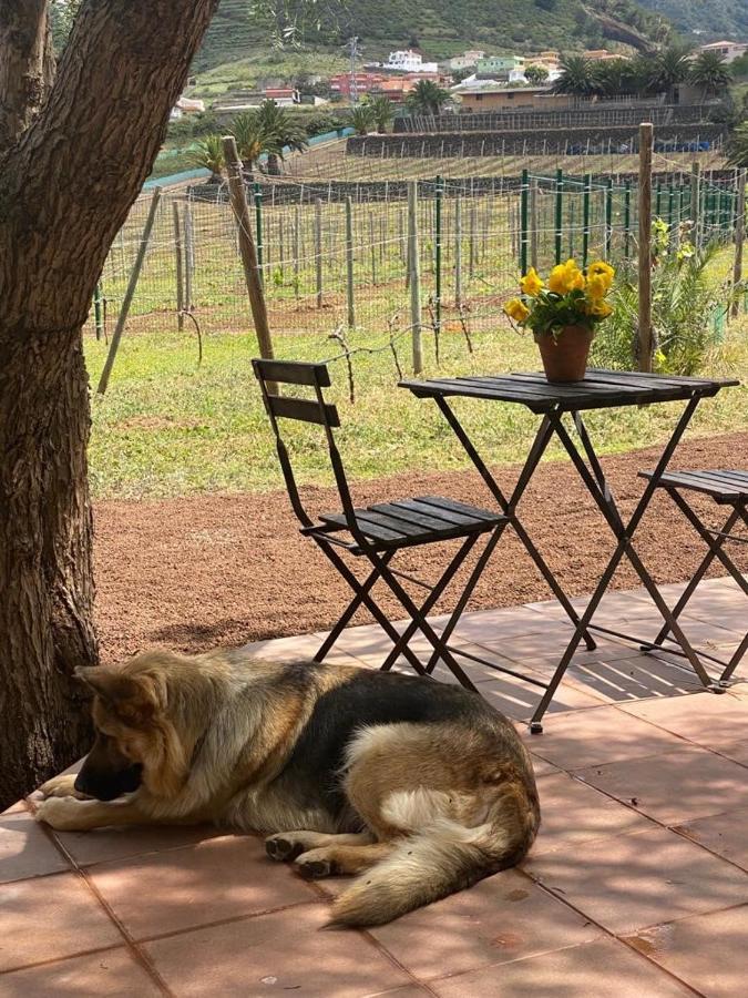 Casita Entre Vinedos, Experiencia Rural, Ideal Ninos. 特格斯特 外观 照片