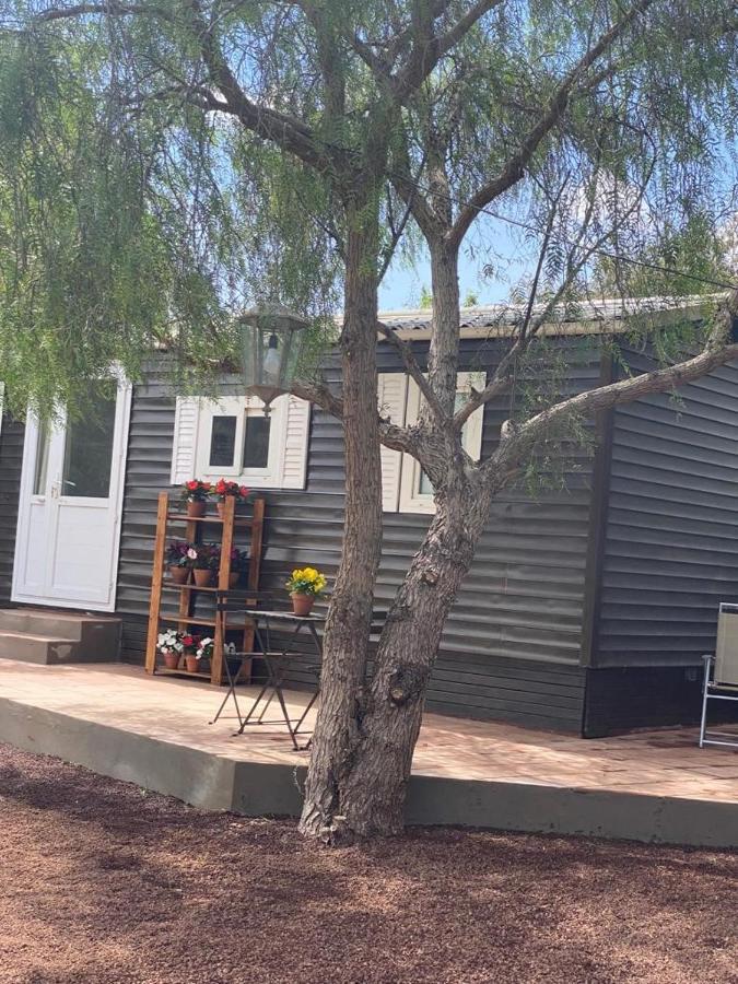 Casita Entre Vinedos, Experiencia Rural, Ideal Ninos. 特格斯特 外观 照片