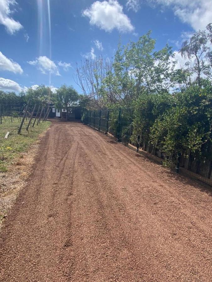 Casita Entre Vinedos, Experiencia Rural, Ideal Ninos. 特格斯特 外观 照片