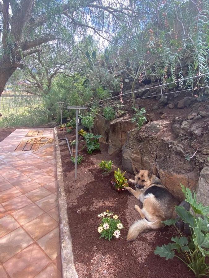 Casita Entre Vinedos, Experiencia Rural, Ideal Ninos. 特格斯特 外观 照片
