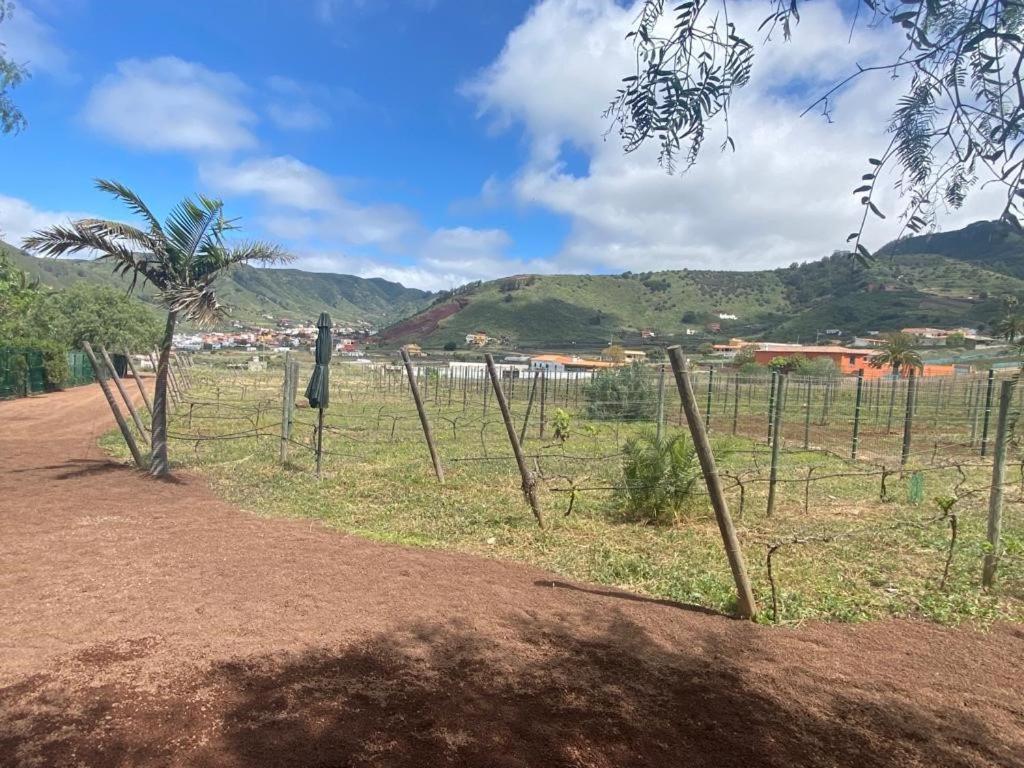 Casita Entre Vinedos, Experiencia Rural, Ideal Ninos. 特格斯特 外观 照片