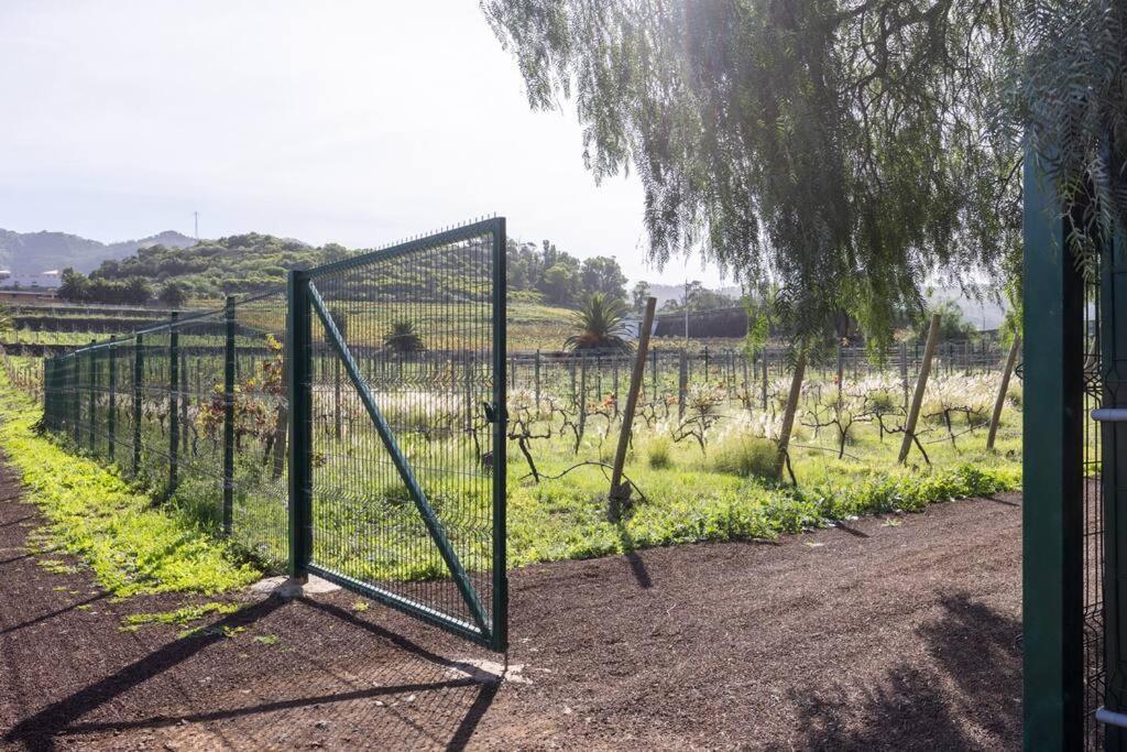 Casita Entre Vinedos, Experiencia Rural, Ideal Ninos. 特格斯特 外观 照片