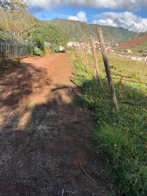 Casita Entre Vinedos, Experiencia Rural, Ideal Ninos. 特格斯特 外观 照片