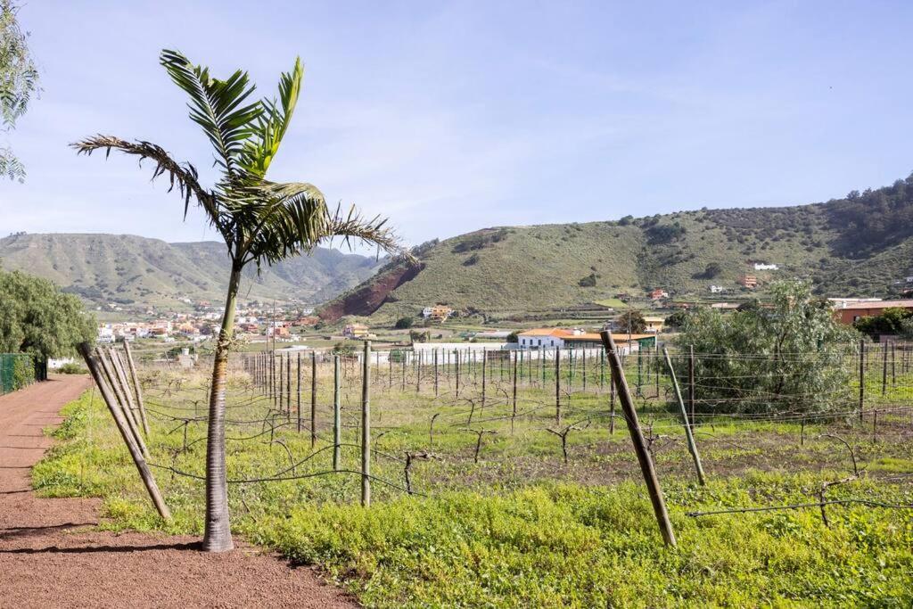Casita Entre Vinedos, Experiencia Rural, Ideal Ninos. 特格斯特 外观 照片