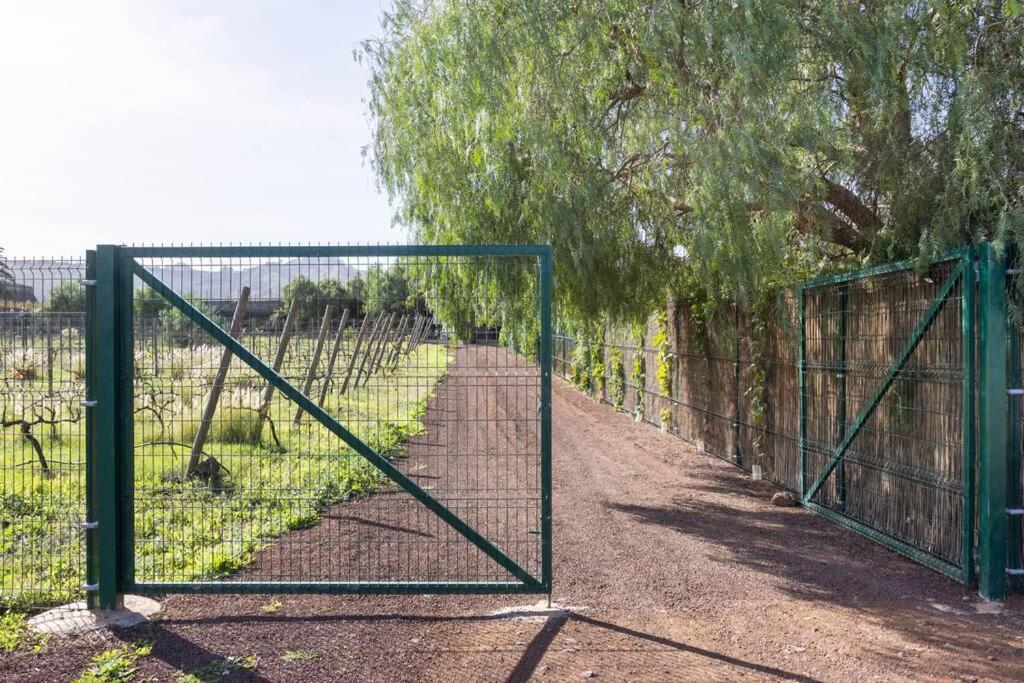 Casita Entre Vinedos, Experiencia Rural, Ideal Ninos. 特格斯特 外观 照片