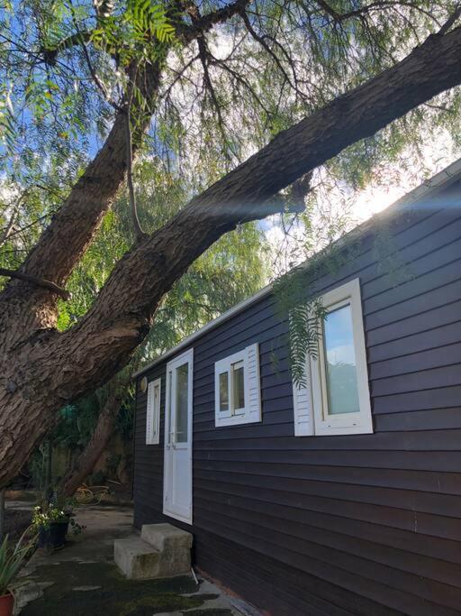 Casita Entre Vinedos, Experiencia Rural, Ideal Ninos. 特格斯特 外观 照片