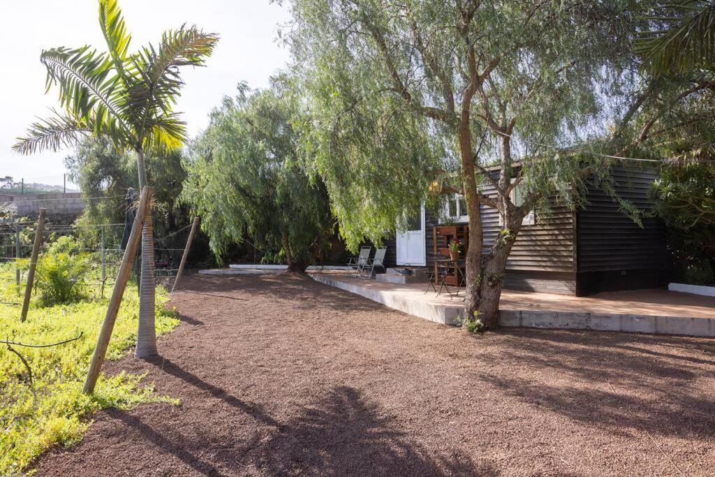 Casita Entre Vinedos, Experiencia Rural, Ideal Ninos. 特格斯特 外观 照片
