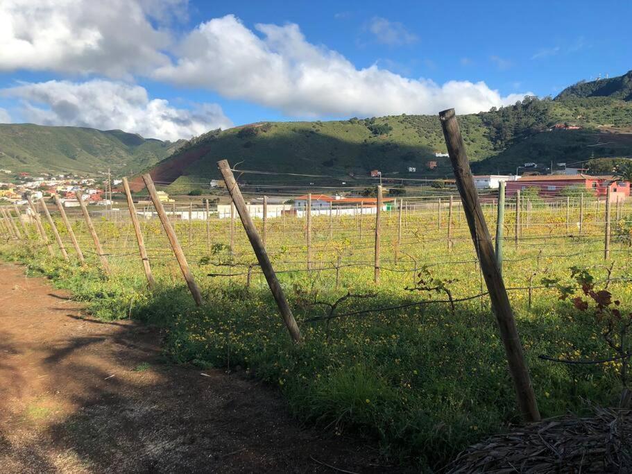 Casita Entre Vinedos, Experiencia Rural, Ideal Ninos. 特格斯特 外观 照片