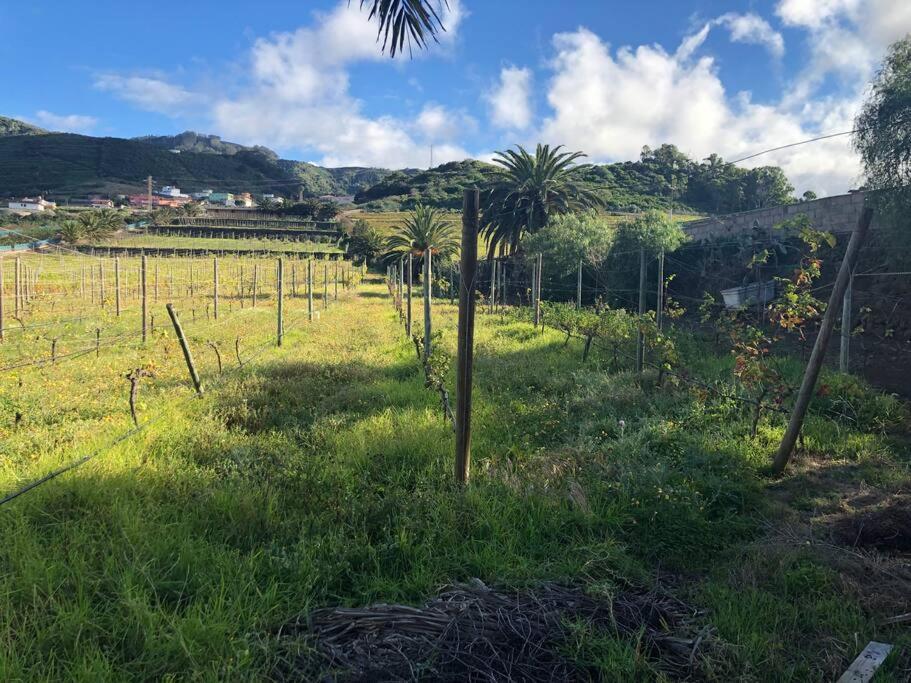 Casita Entre Vinedos, Experiencia Rural, Ideal Ninos. 特格斯特 外观 照片